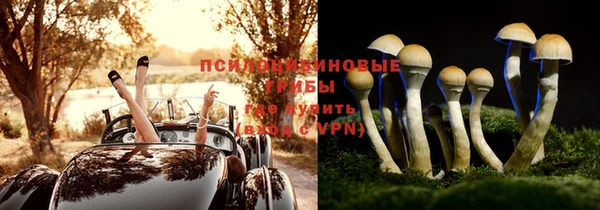 мескалин Краснослободск